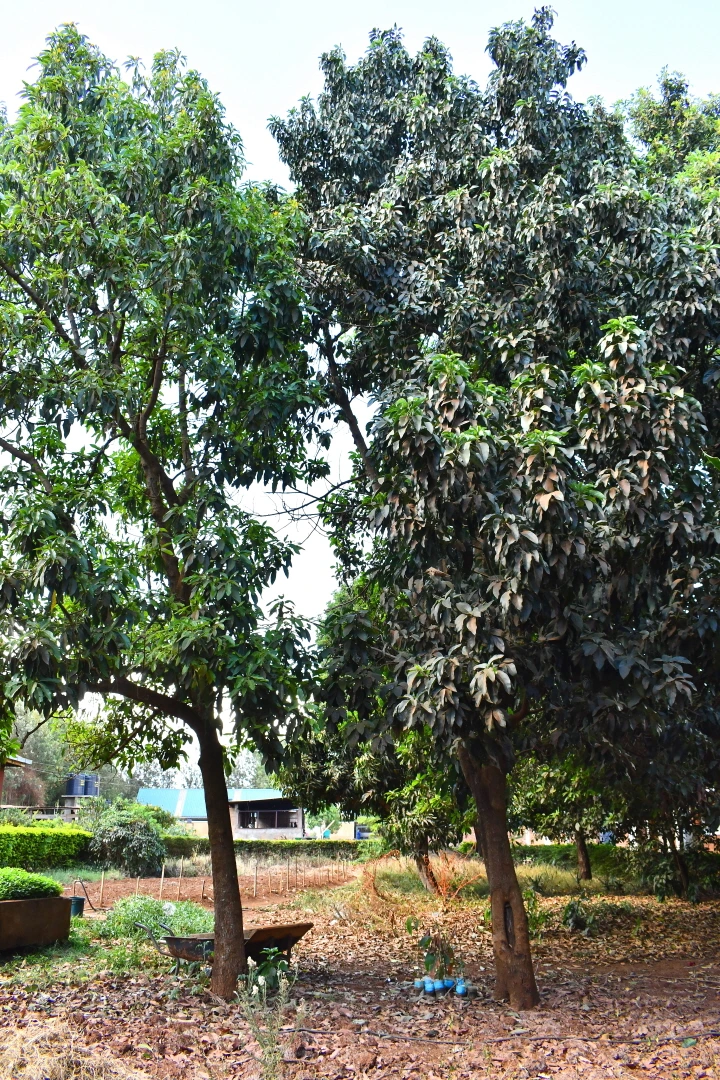 DSC_0229.JPG?type=w1