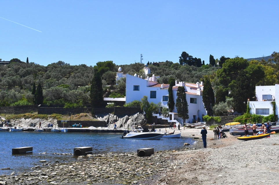 DSC_9794.JPG?type=w966