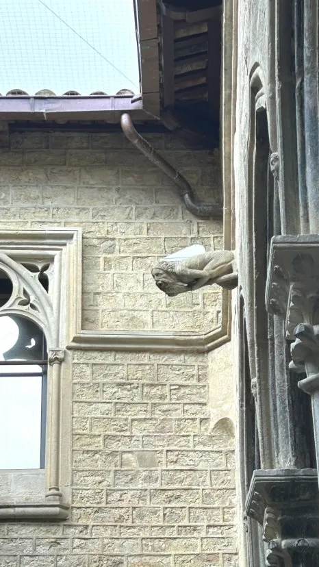 IMG_E0644.JPG?type=w466