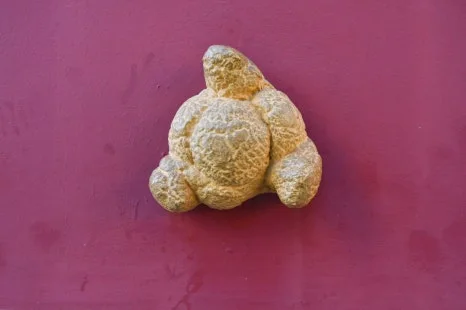 DSC_9560.JPG?type=w466