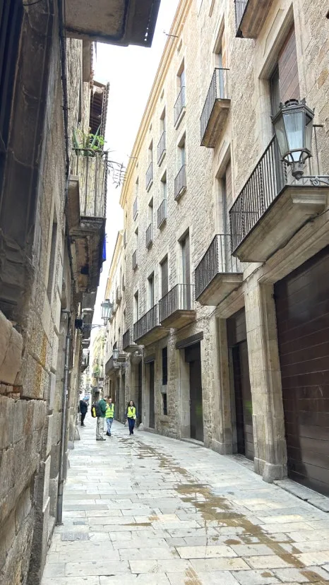 IMG_E0606.JPG?type=w466