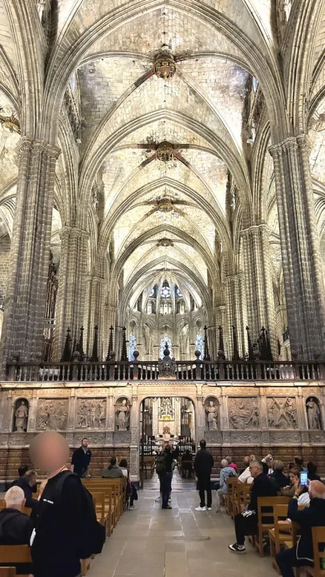 SE-a3035809-a0a3-4b40-9b98-4fb0bd659c49.jpg?type=w466