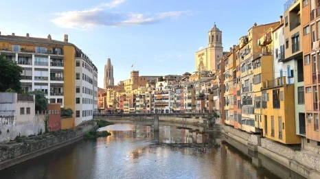 IMG_E0835.JPG?type=w466