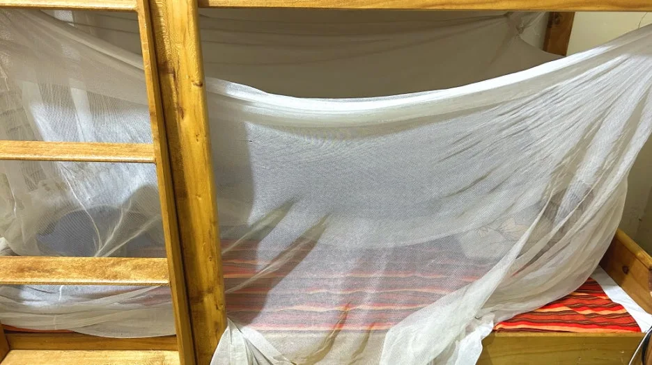 IMG_E2260.JPG?type=w1