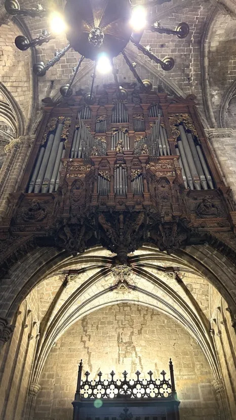 IMG_E0665.JPG?type=w466