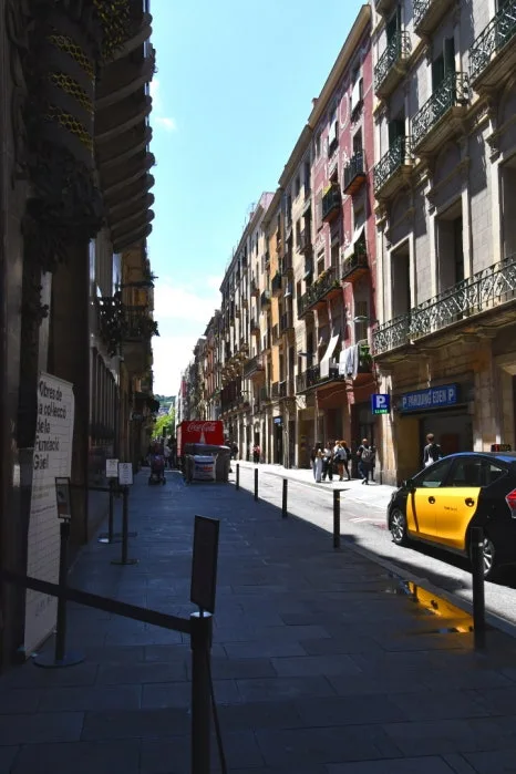 DSC_8988.JPG?type=w466