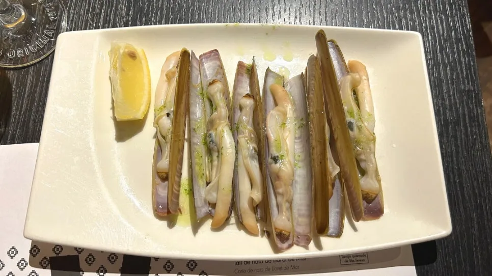 IMG_E0749.JPG?type=w966