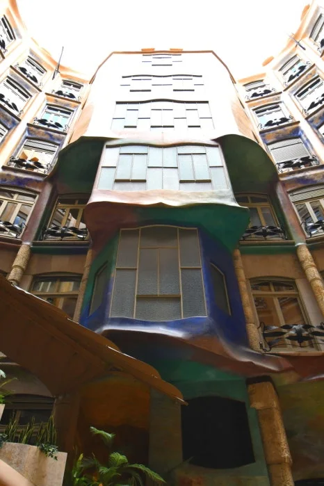 DSC_9416.JPG?type=w466