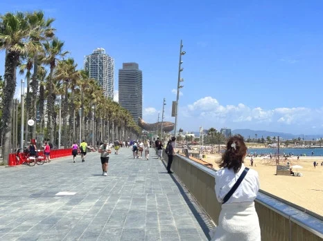 IMG_0794.JPG?type=w466