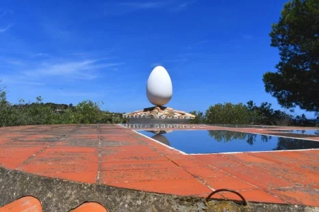 DSC_9920.JPG?type=w466