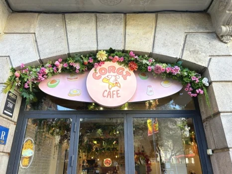 IMG_0775.JPG?type=w466