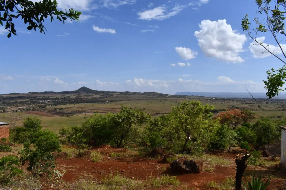 DSC_0243.JPG?type=w1