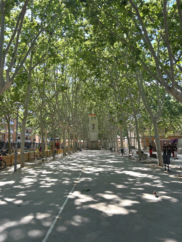 IMG_0805.JPG?type=w966