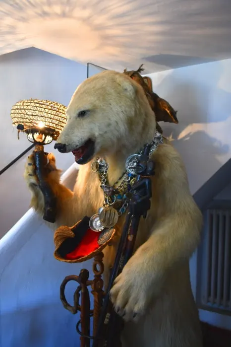 DSC_9830.JPG?type=w466