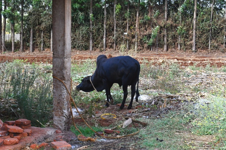 DSC_0254.JPG?type=w1