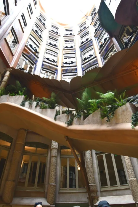 DSC_9420.JPG?type=w466