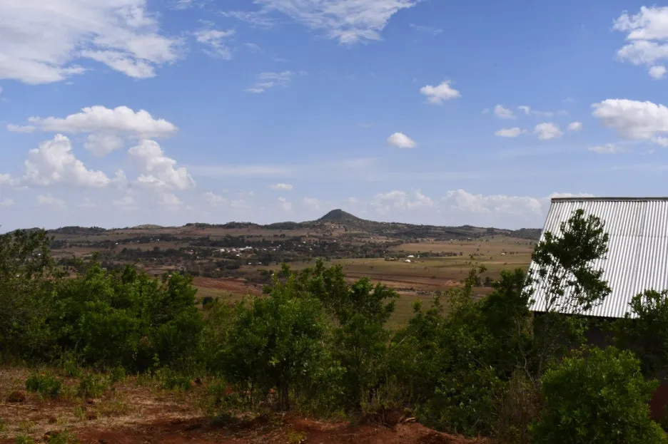 DSC_0232.JPG?type=w1