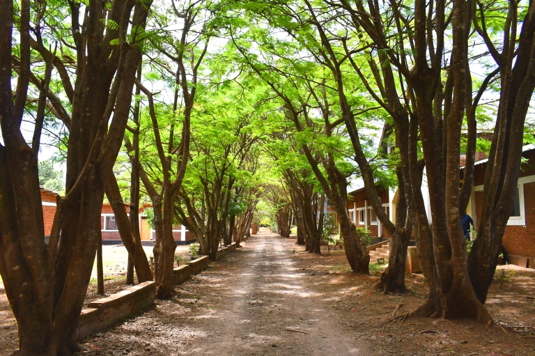 DSC_0276.JPG?type=w1