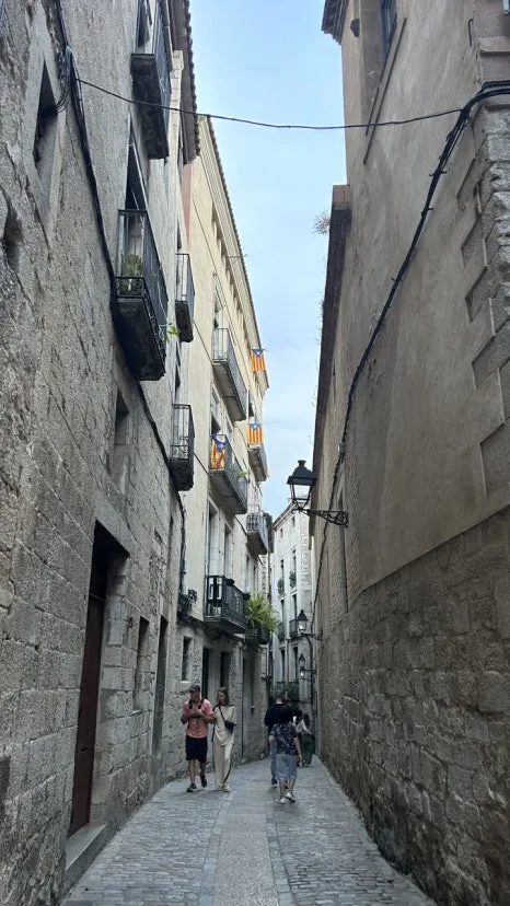 IMG_E0910.JPG?type=w466