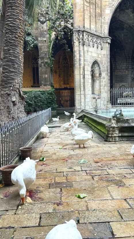 IMG_E0679.JPG?type=w466