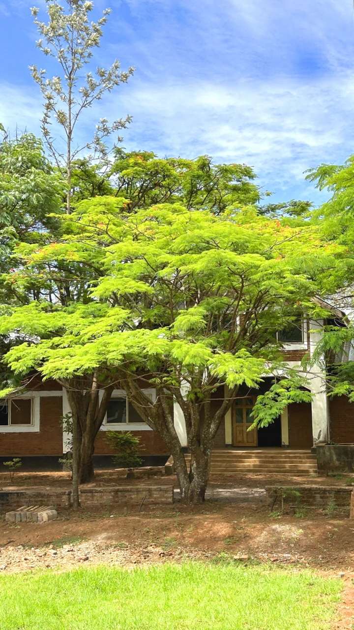 IMG_E2267.JPG?type=w1