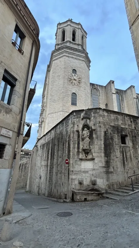 IMG_E0902.JPG?type=w466