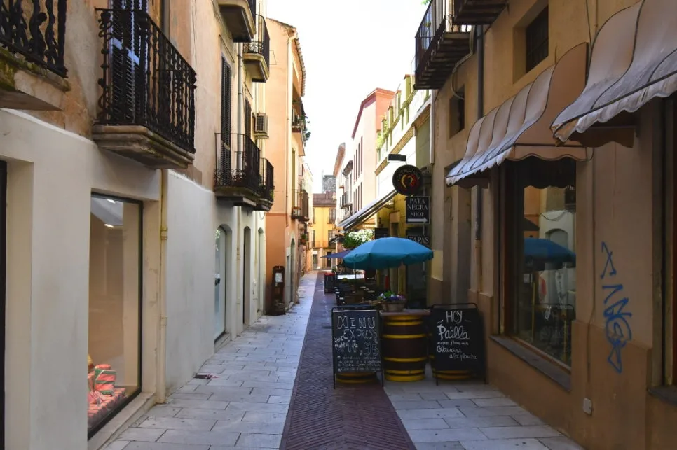 DSC_9786.JPG?type=w966