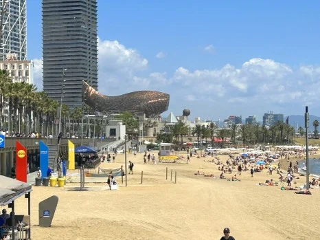 IMG_0796.JPG?type=w466