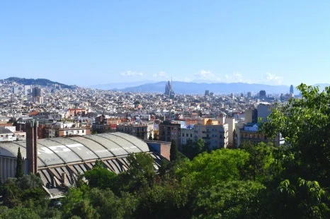 DSC_9186.JPG?type=w466