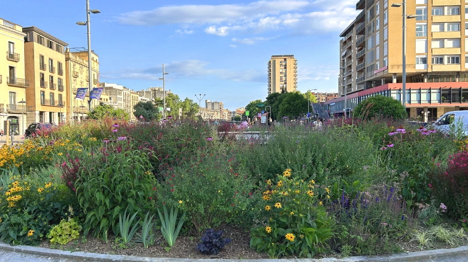 IMG_E0817.JPG?type=w966