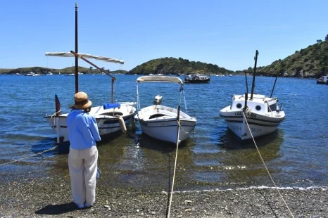 DSC_9803.JPG?type=w466