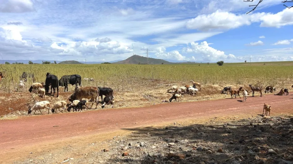 IMG_E2264.JPG?type=w1