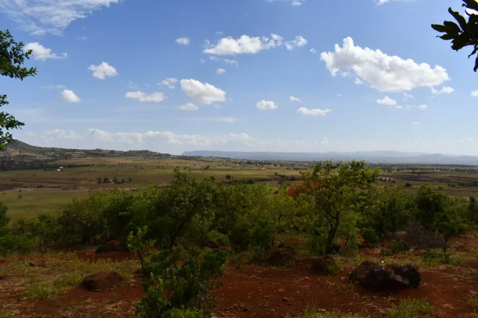 DSC_0234.JPG?type=w1