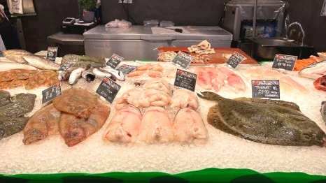 IMG_E0648.JPG?type=w466