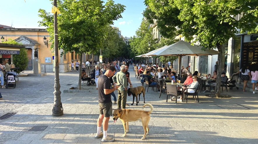 IMG_E0820.JPG?type=w966