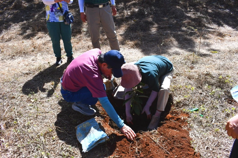 DSC_0259.JPG?type=w1