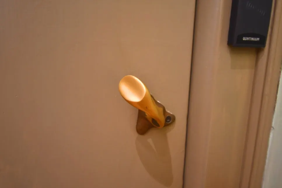 DSC_9546.JPG?type=w966