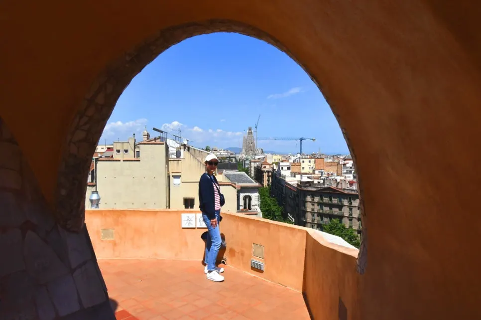 DSC_9531.JPG?type=w966