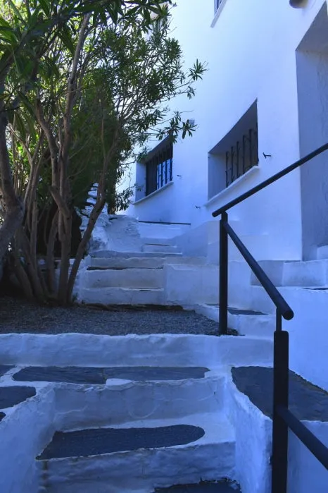 DSC_9827.JPG?type=w466