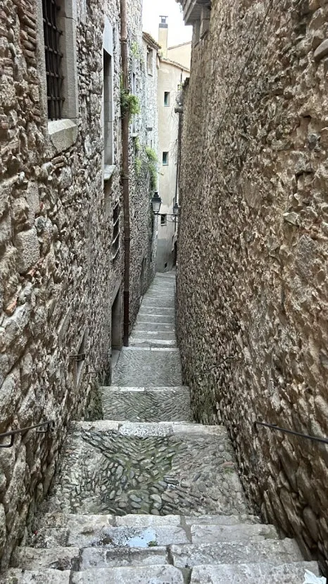 IMG_E0897.JPG?type=w466