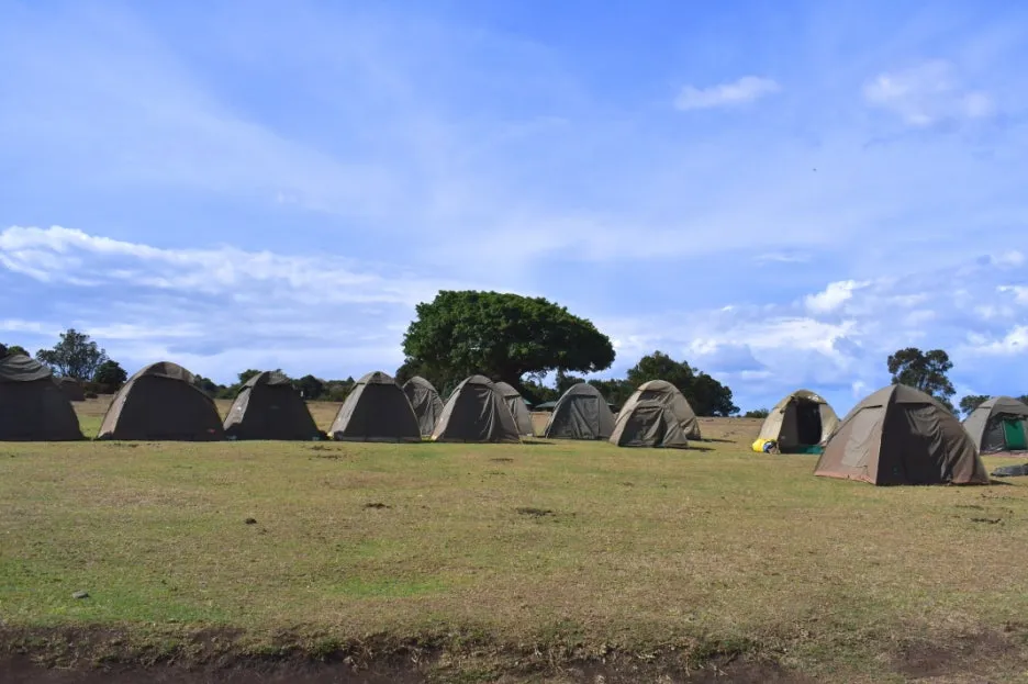 DSC_0300.JPG?type=w1