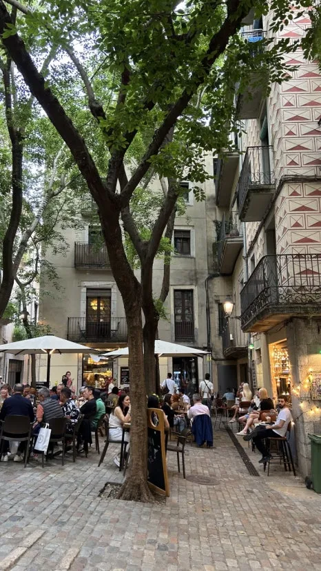 IMG_E0871.JPG?type=w466