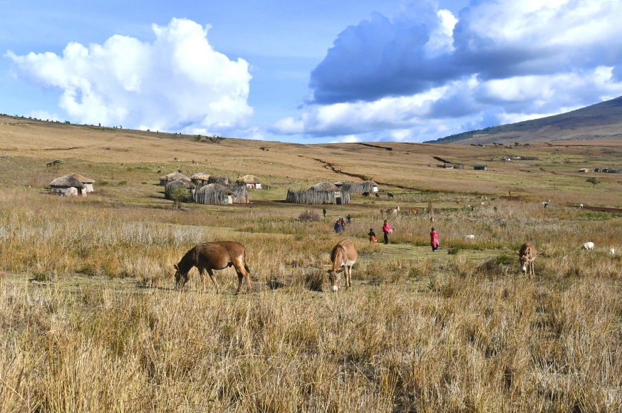 DSC_0317.JPG?type=w1