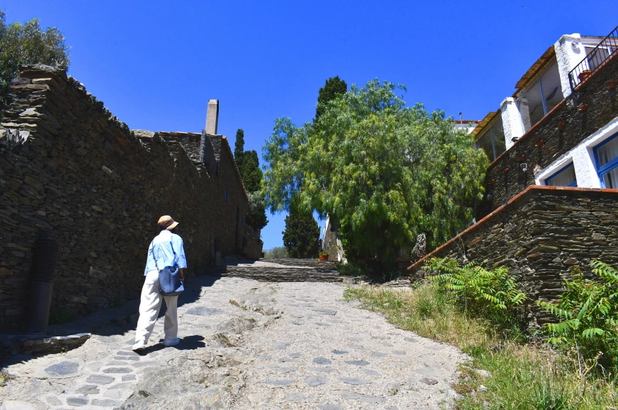 DSC_9797.JPG?type=w966