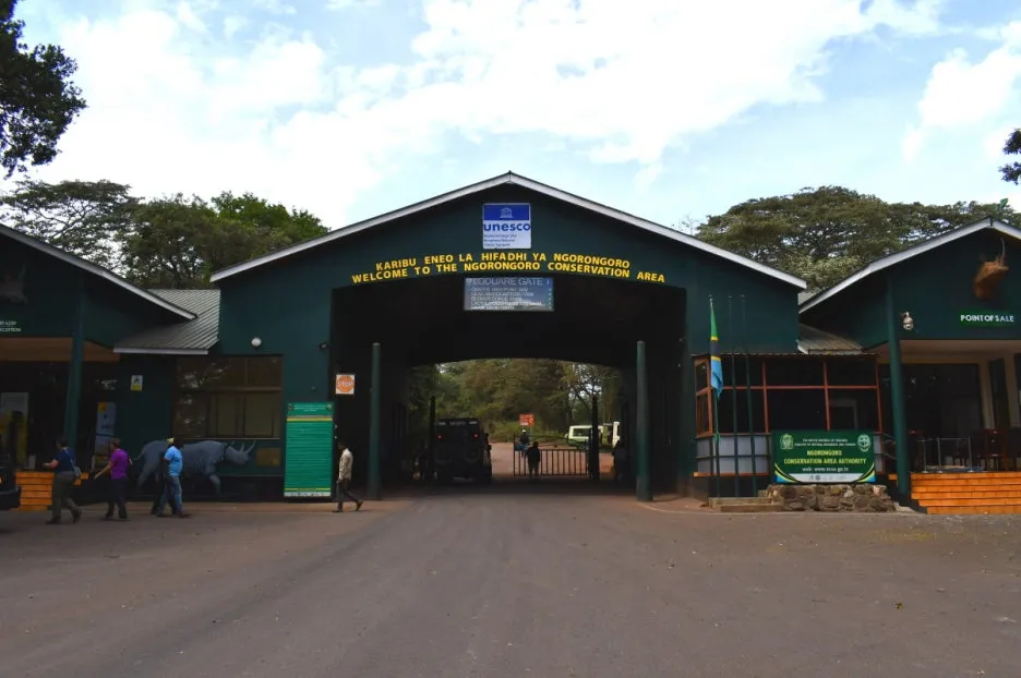 DSC_0290.JPG?type=w1