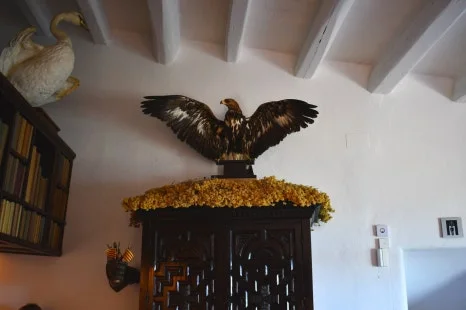 DSC_9847.JPG?type=w466