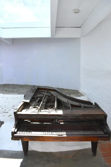 DSC_9916.JPG?type=w466