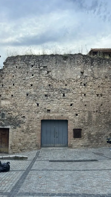 IMG_E0900.JPG?type=w466