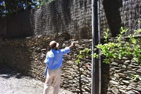 DSC_9821.JPG?type=w466