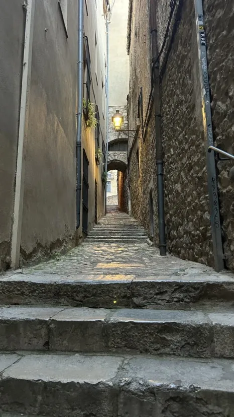 IMG_E0911.JPG?type=w466